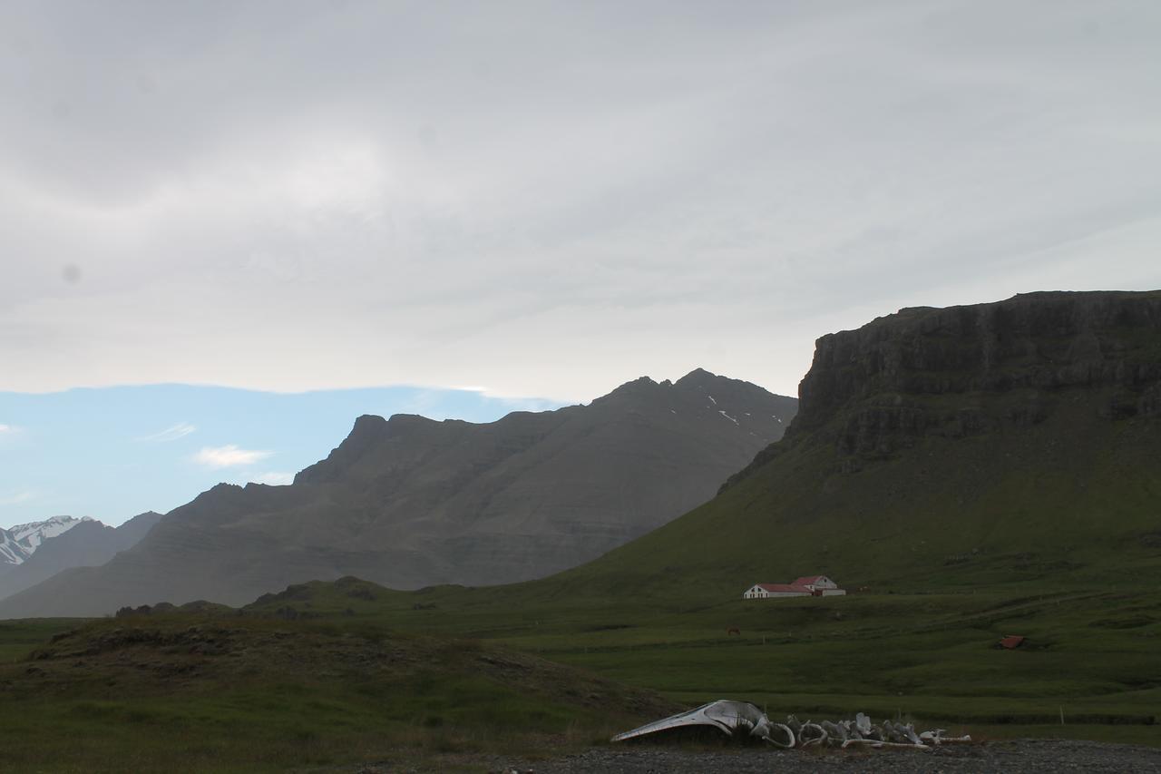 Laekjarhus Farm Holidays Borgarhöfn Esterno foto